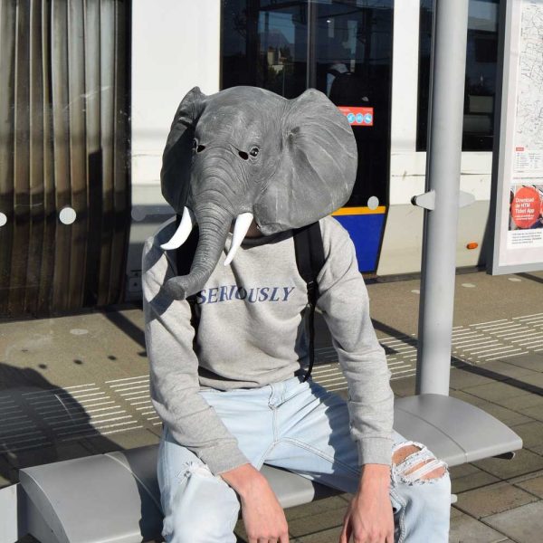 Olifant Masker