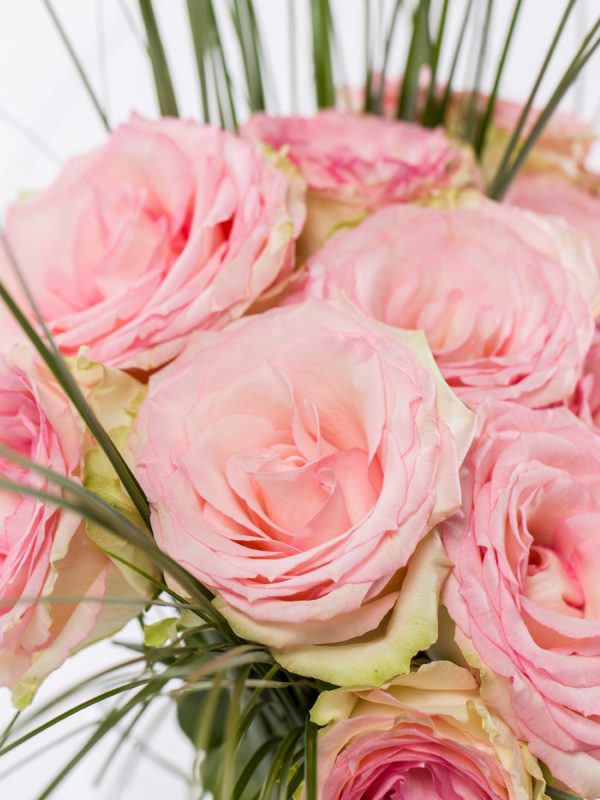 15 roze rozen met beregras | Rozen online bestellen & versturen | Surprose.nl