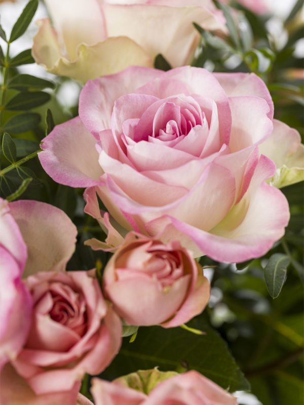 Mix boeket roze rozen | Rozen online bestellen & versturen | Surprose.nl