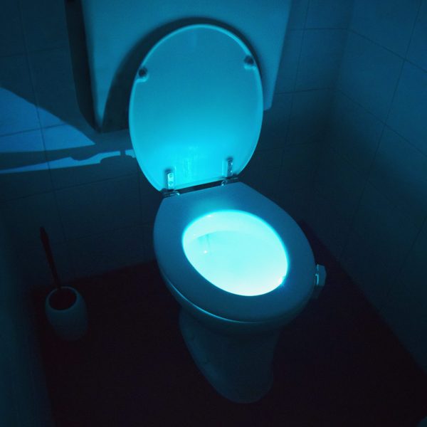 LED Toilet Light