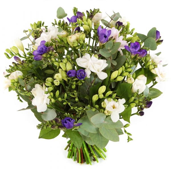 Freesia bloemen kopen