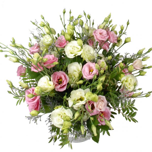 Roze en witte eustoma bloemen