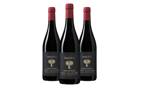 Antica Viti Amarone della Valpolicella