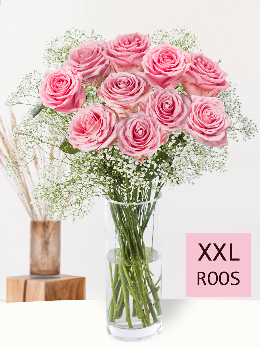 10 roze rozen met gipskruid (XXL rozen) - Sophia Loren 1 10 roze rozen met gipskruid (XXL rozen) - Sophia Loren