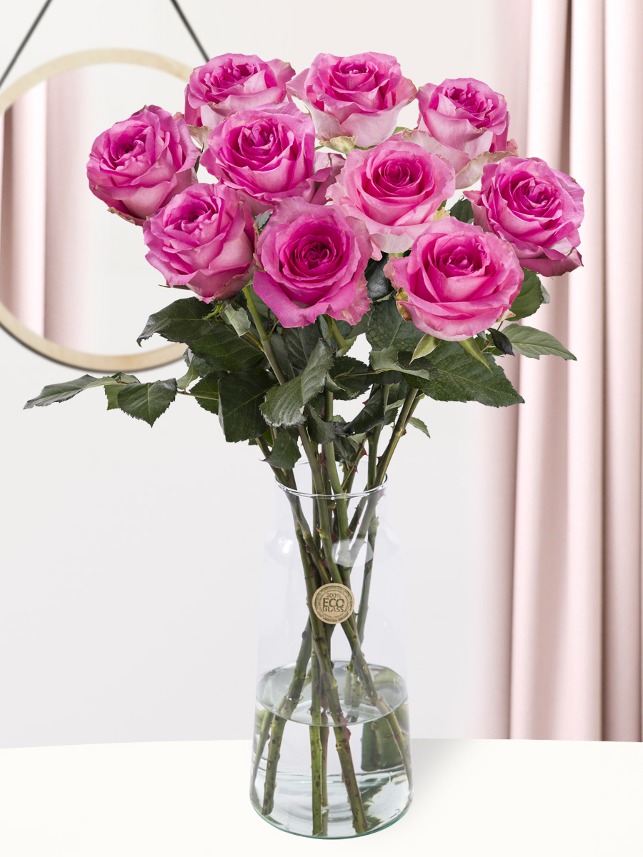 10 roze rozen - Revival - XL rozen 1 10 roze rozen - Revival - XL rozen