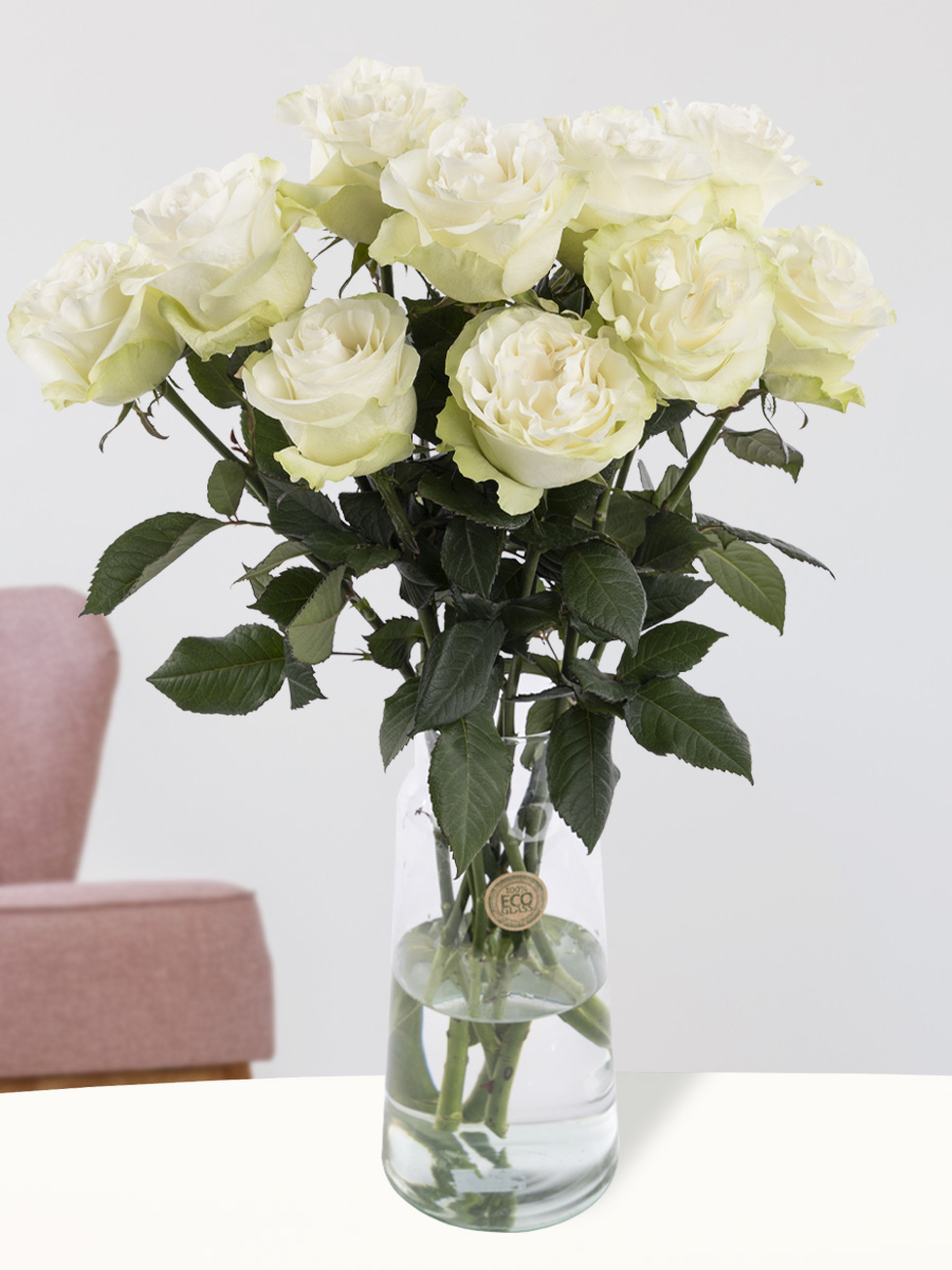 10 witte rozen uit Ecuador 1 10 witte rozen uit Ecuador