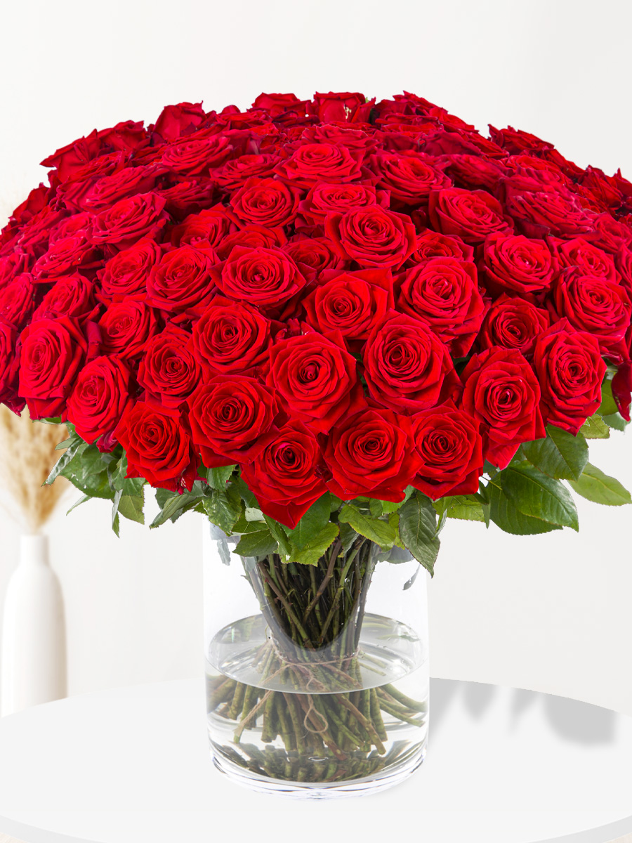 100 rode rozen - premium rozen - Red Naomi 1 100 rode rozen - premium rozen - Red Naomi