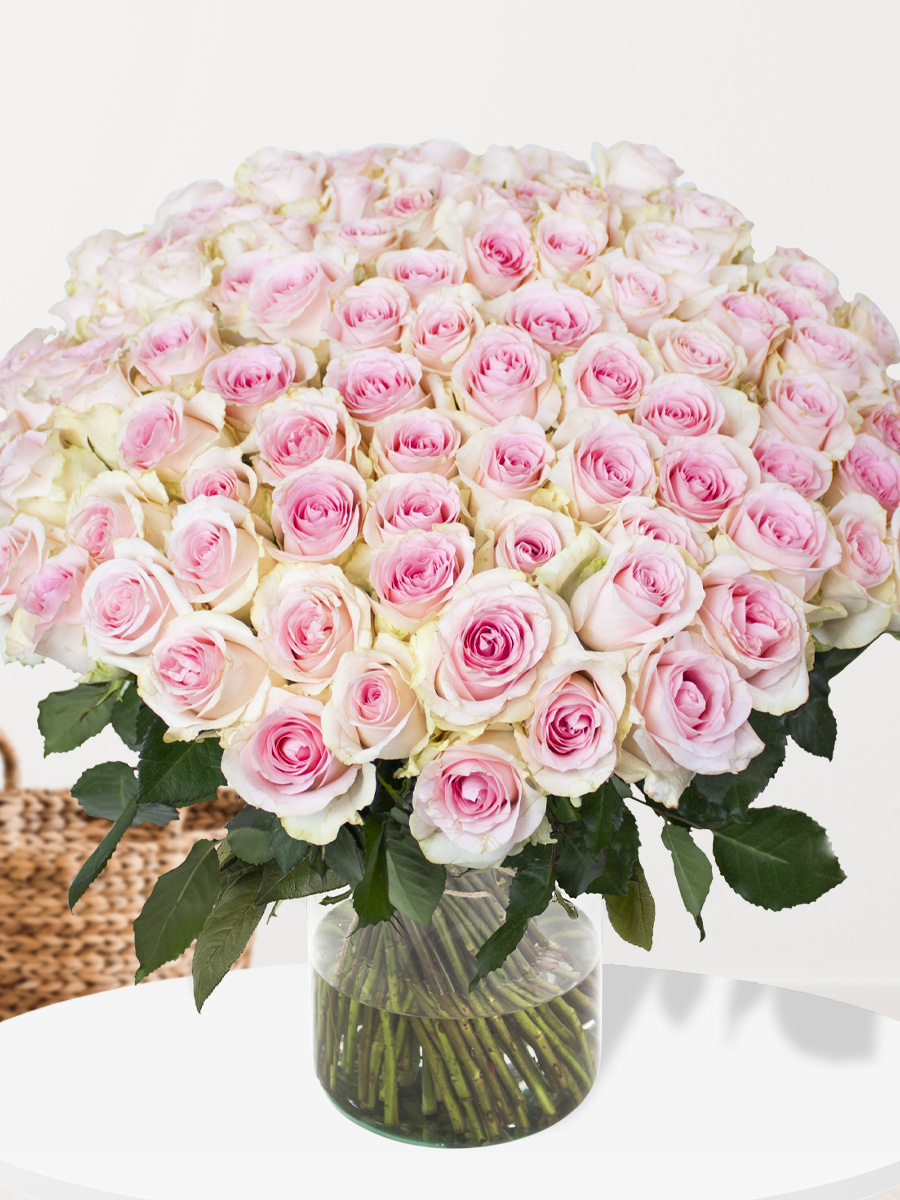 100 zachtroze rozen - XL rozen - Sweet Revival 1 100 zachtroze rozen - XL rozen - Sweet Revival