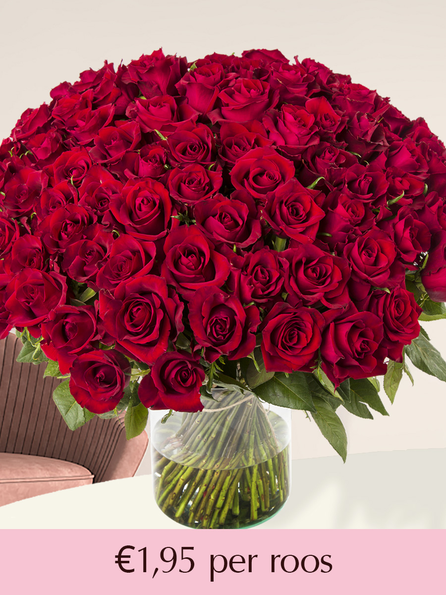 100 tot en met 499 rode rozen - XL rozen - EverRed 1 100 tot en met 499 rode rozen - XL rozen - EverRed