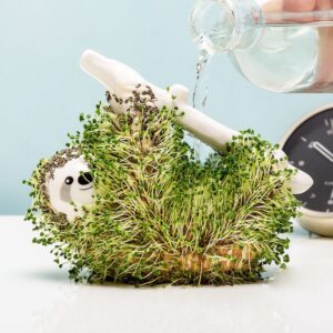 Sloth Planter
