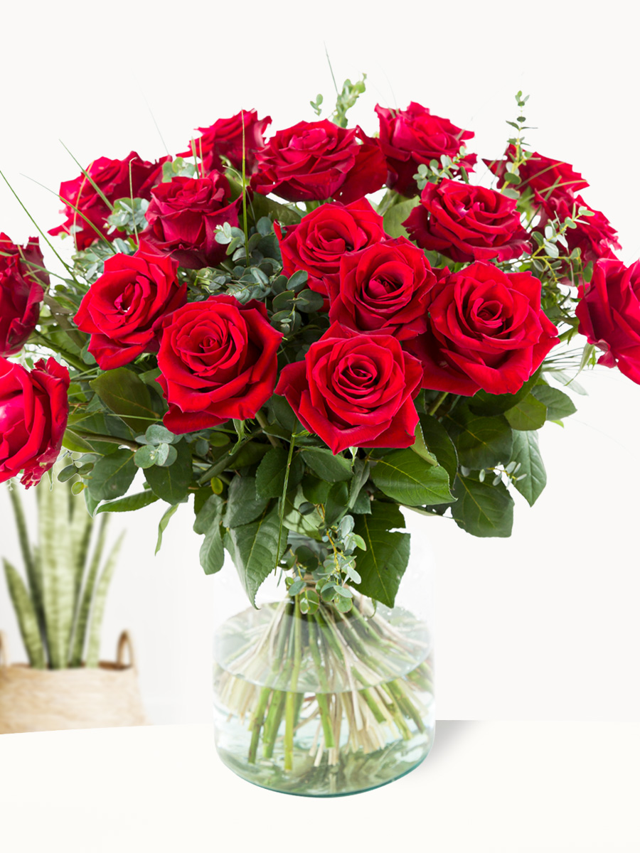 20 rode rozen met eucalyptus - EverRed 1 20 rode rozen met eucalyptus - EverRed