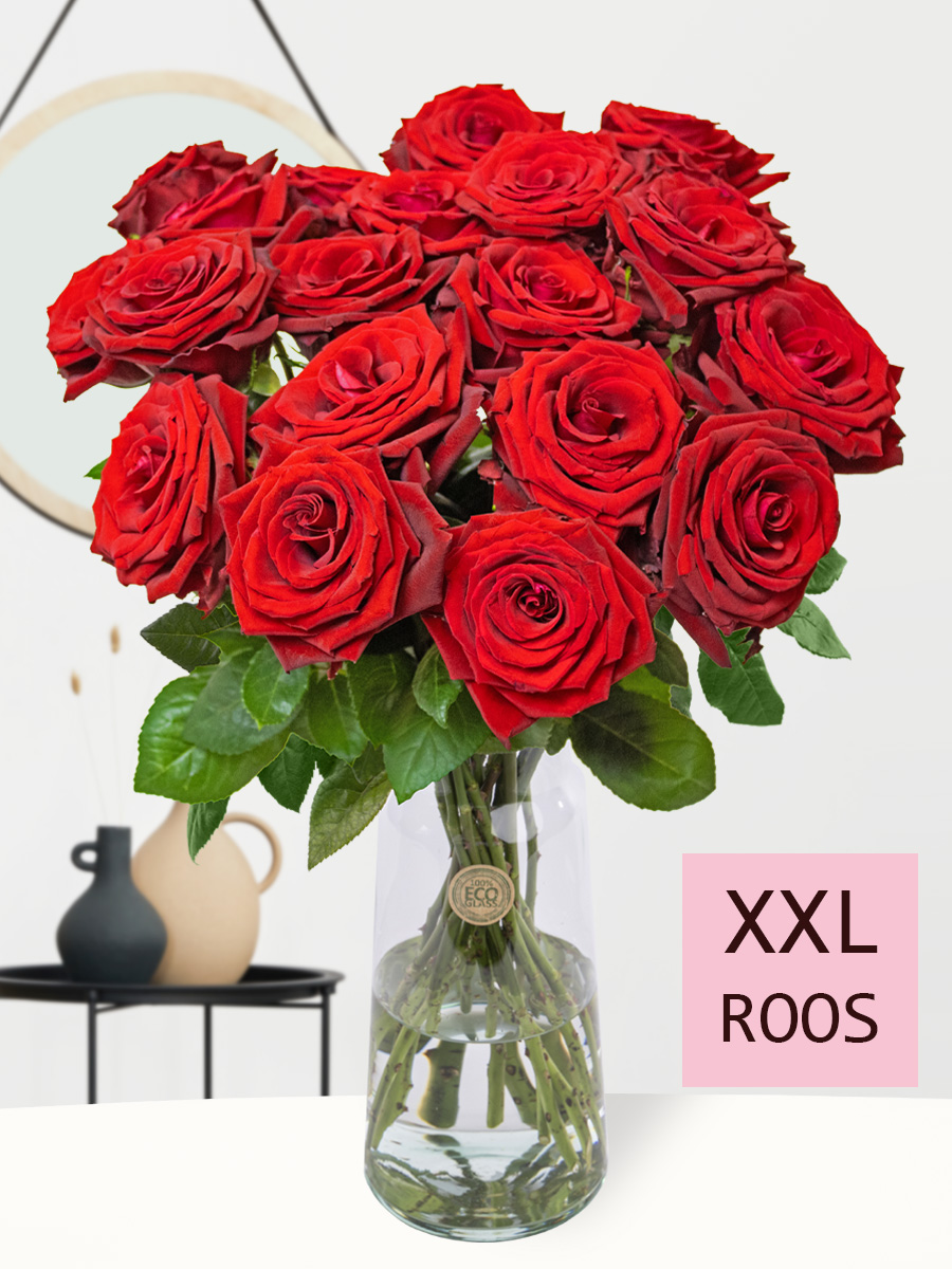 20 rode rozen - XXL rozen - Red Bentley 1 20 rode rozen - XXL rozen - Red Bentley
