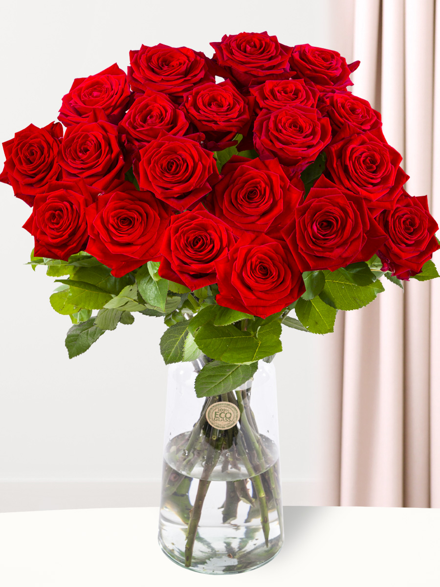20 rode rozen - XL rozen - Red Naomi 1 20 rode rozen - XL rozen - Red Naomi
