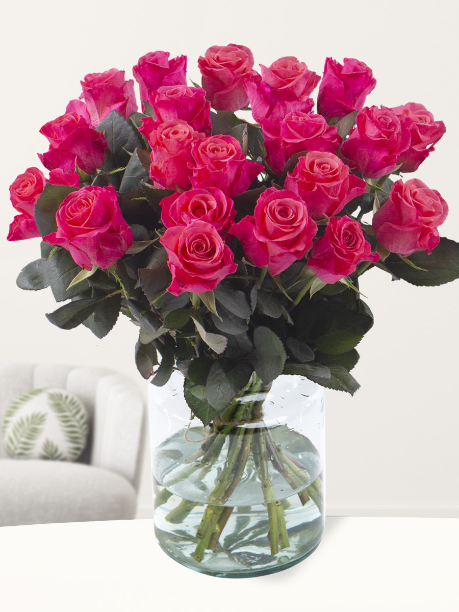 20 roze Tacazzi rozen 1 20 roze Tacazzi rozen