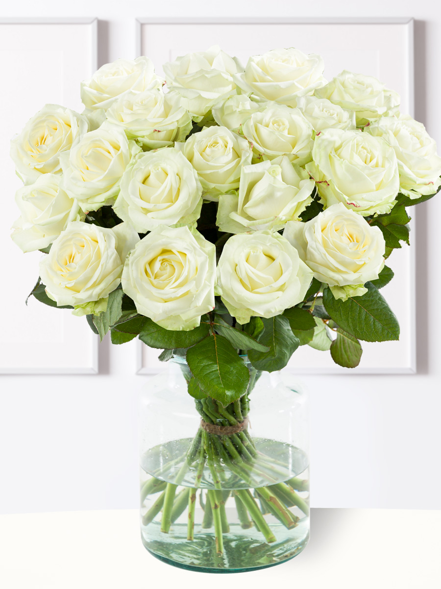 20 witte rozen XL - Avalanche 1 20 witte rozen XL - Avalanche