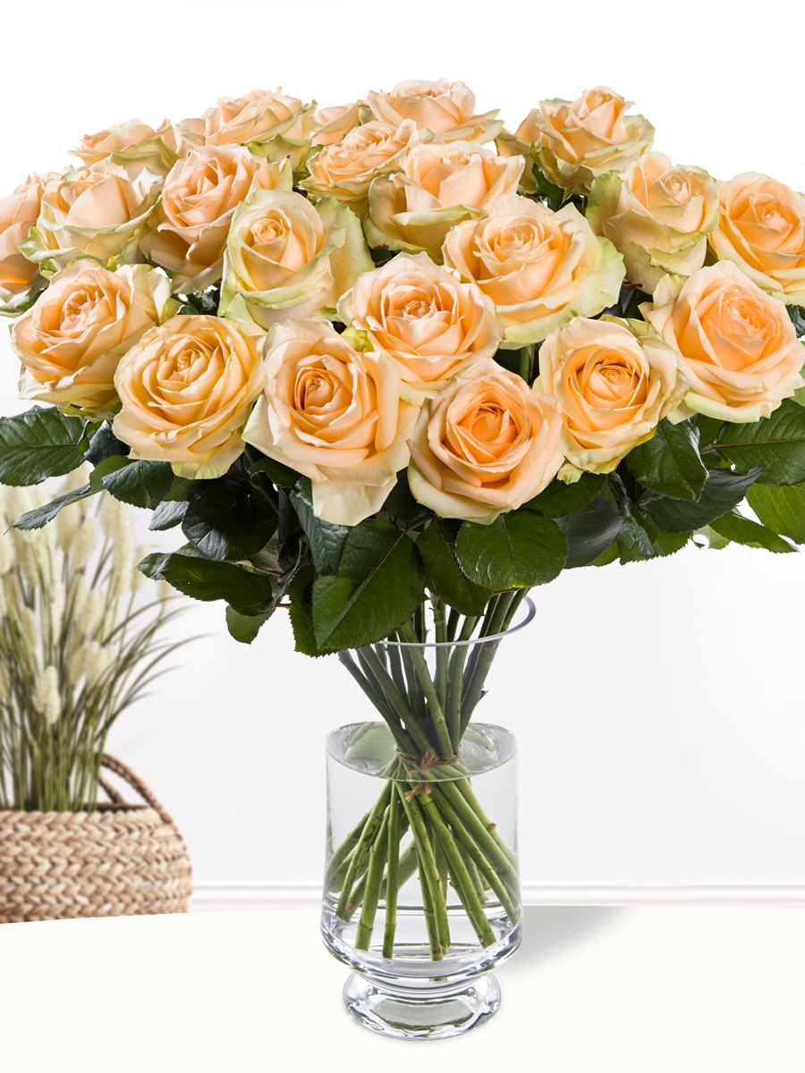 20 zalmkleurige rozen - XL rozen - Avalanche Peach 1 20 zalmkleurige rozen - XL rozen - Avalanche Peach