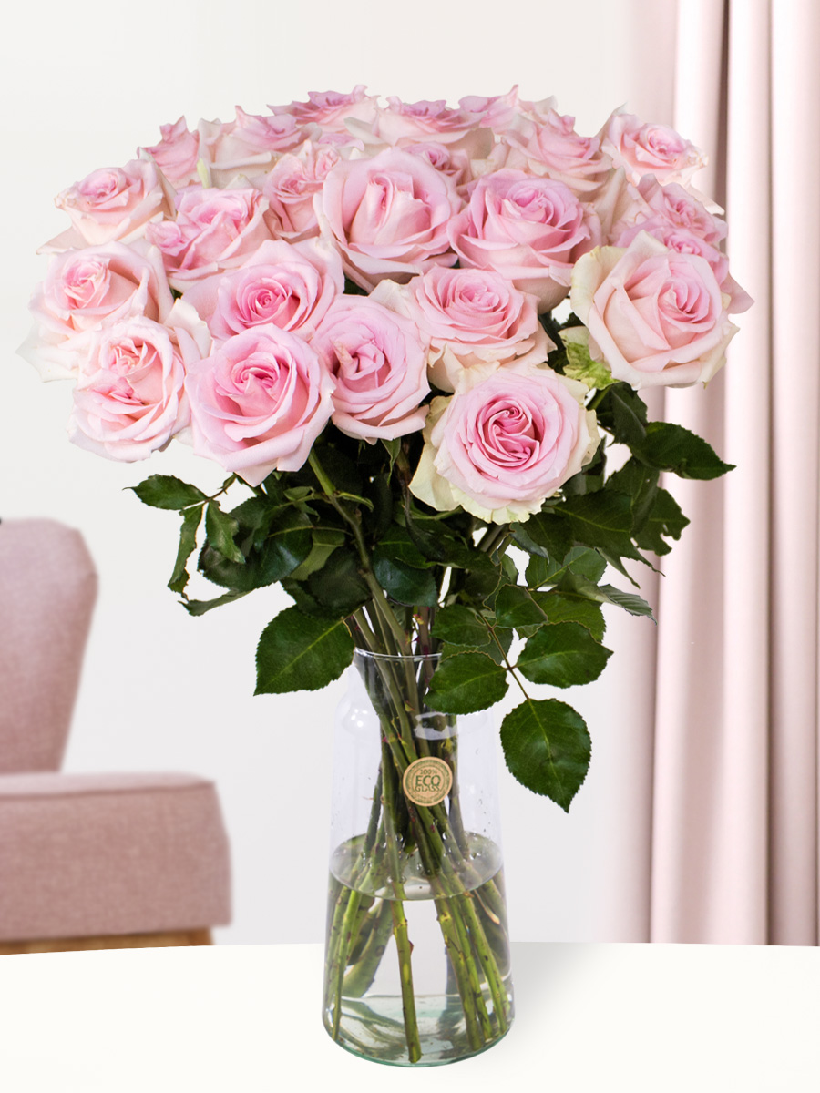 25 zachtroze rozen - XL rozen - Sweet Revival 1 25 zachtroze rozen - XL rozen - Sweet Revival