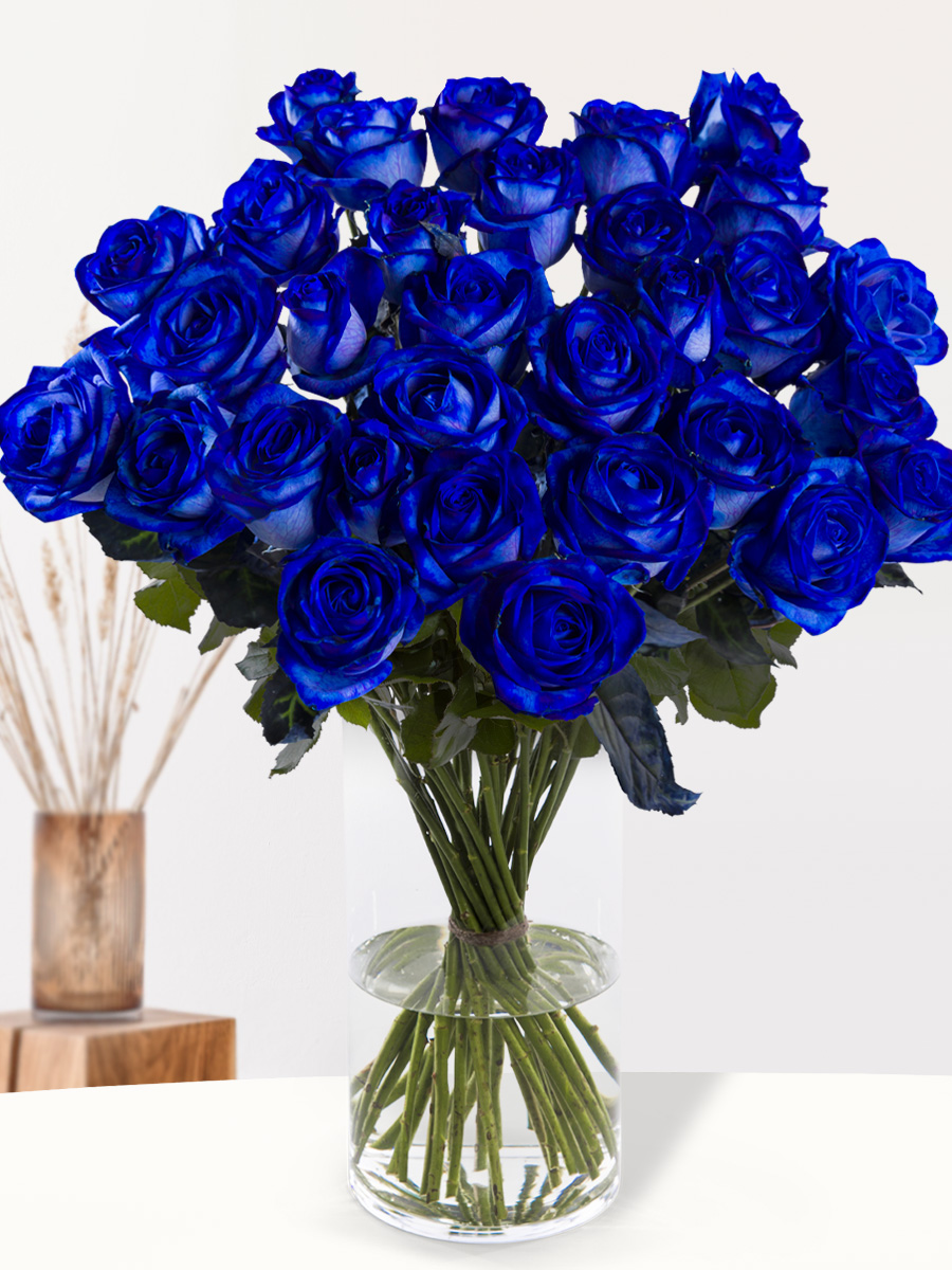 30 blauwe rozen - XL rozen 1 30 blauwe rozen - XL rozen