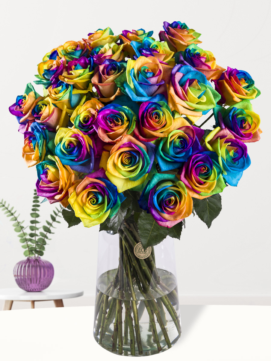 30 regenboog rozen - XL rozen 1 30 regenboog rozen - XL rozen