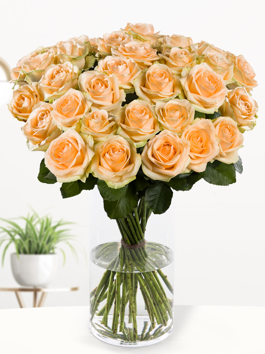 30 zalmkleurige rozen - XL rozen - Avalanche Peach 1 30 zalmkleurige rozen - XL rozen - Avalanche Peach
