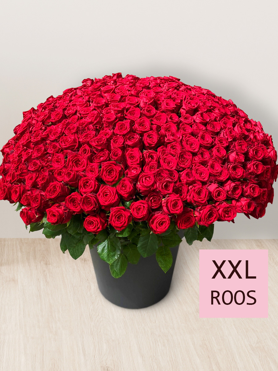 Boeket van 365 rode rozen - Red Naomi 1 Boeket van 365 rode rozen - Red Naomi