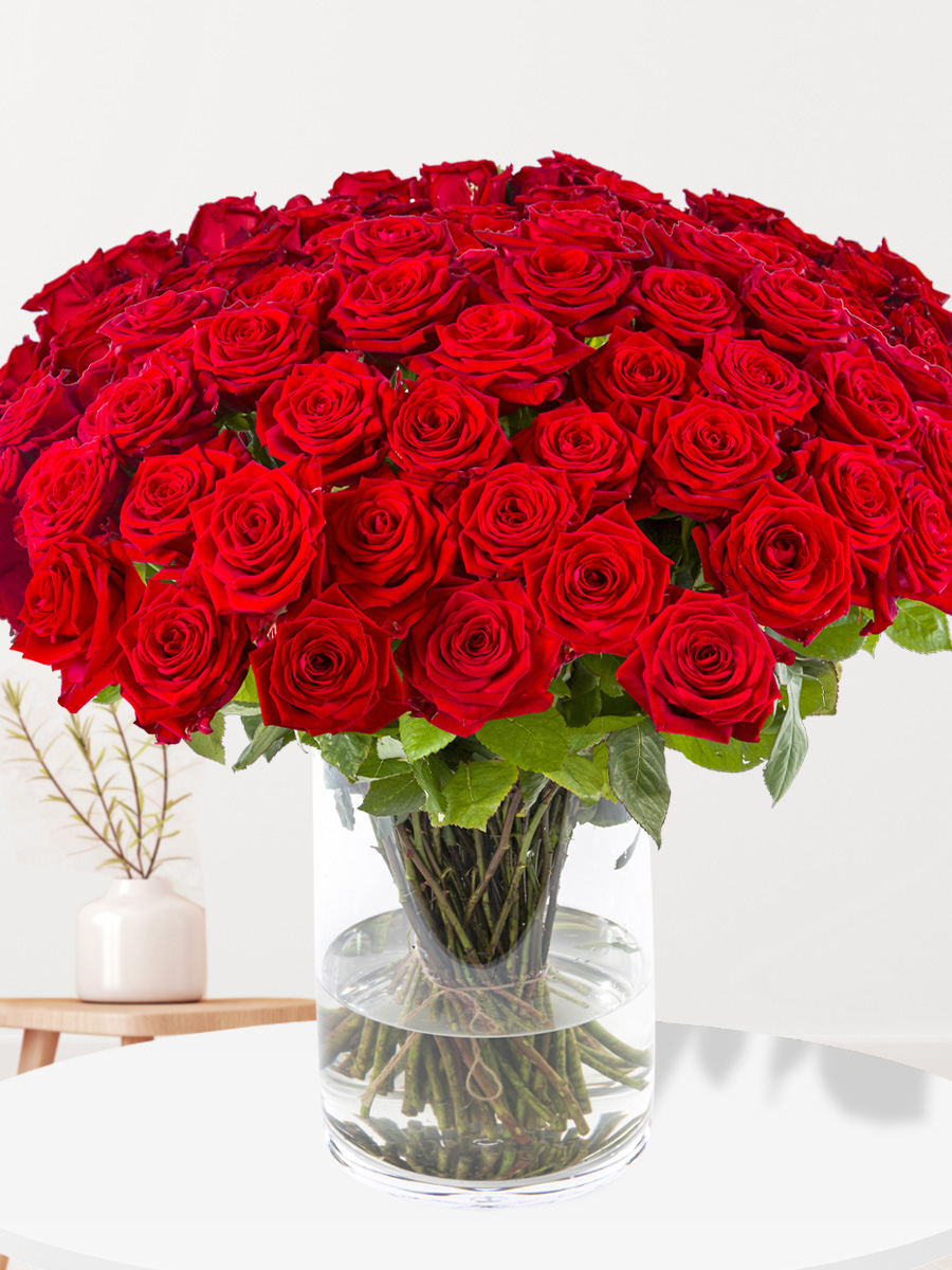 50 rode rozen - XL rozen - Red Naomi 1 50 rode rozen - XL rozen - Red Naomi