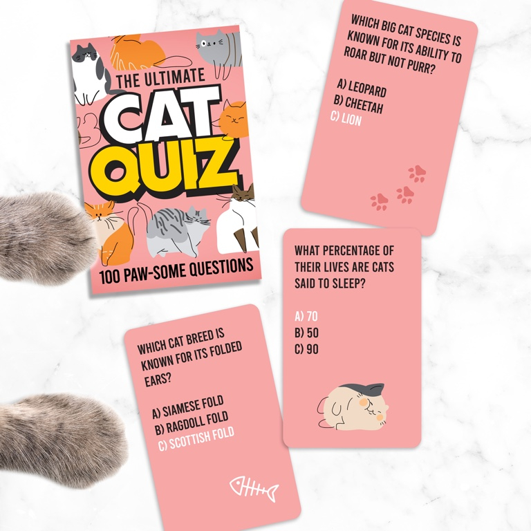 Cat Quiz kaarten 1 Cat Quiz kaarten