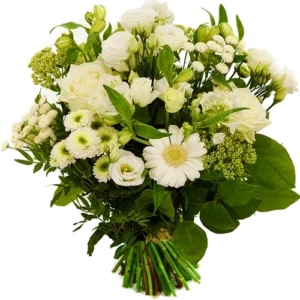 Witte paasbloemen