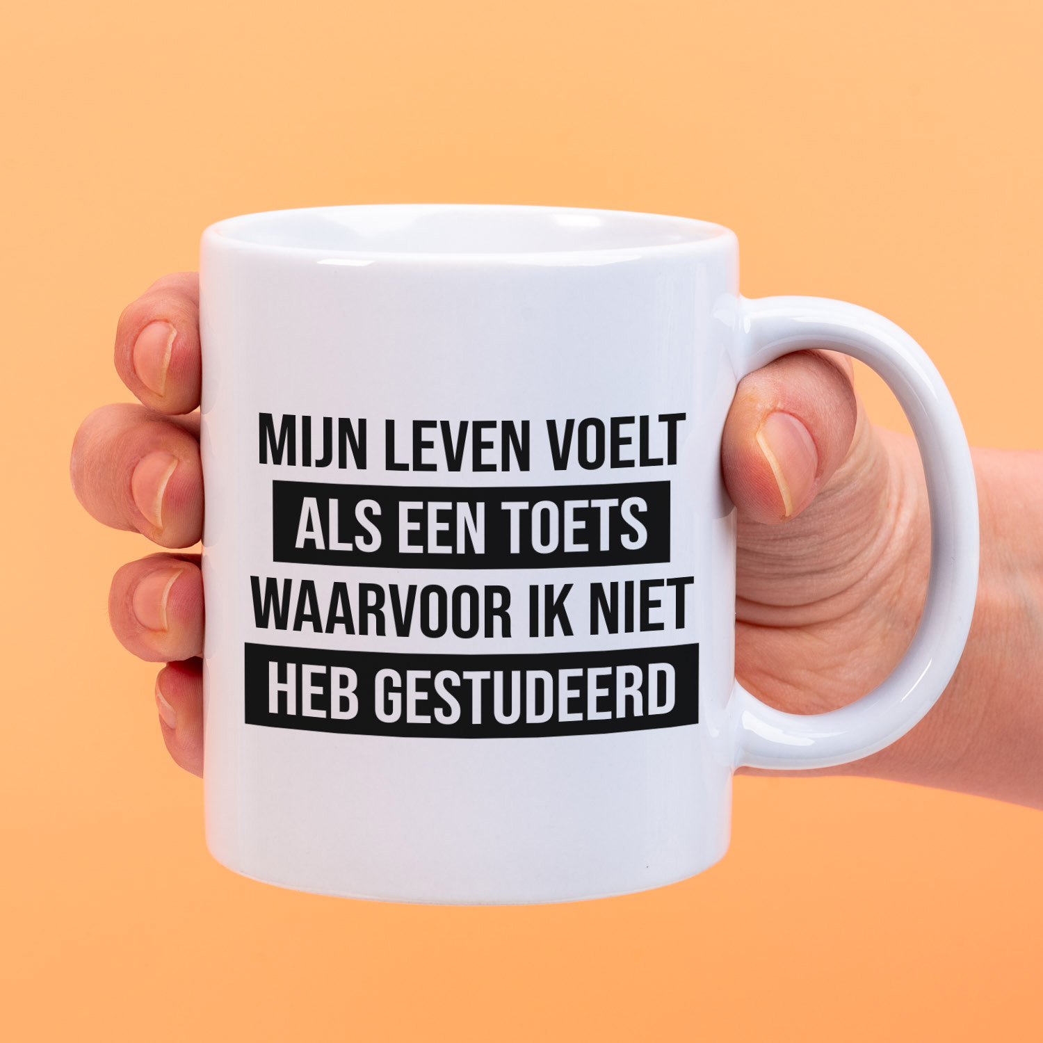 Mok Mijn leven voelt als een toets 1 Mok Mijn leven voelt als een toets