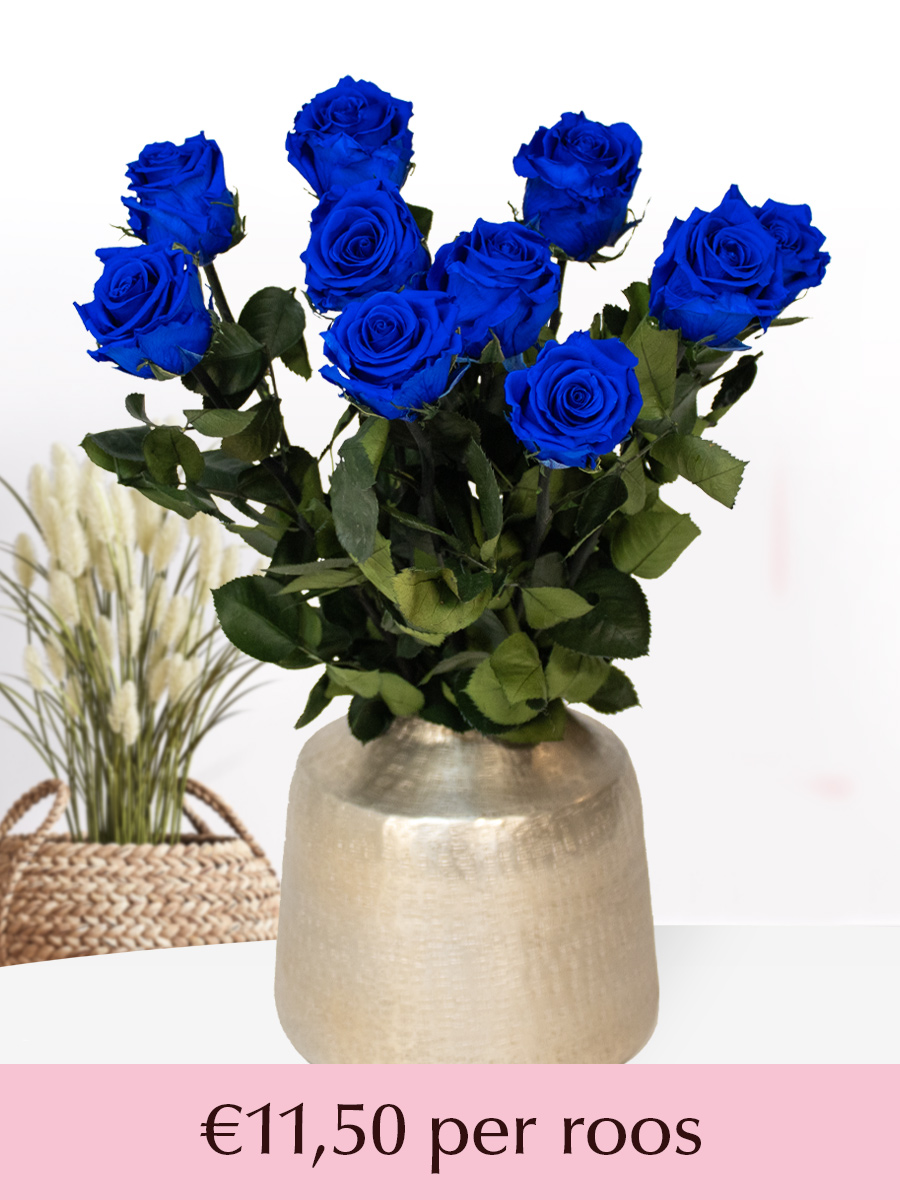 Blauwe long life rozen - Kies je aantal van 5 t/m 20 1 Blauwe long life rozen - Kies je aantal van 5 t/m 20