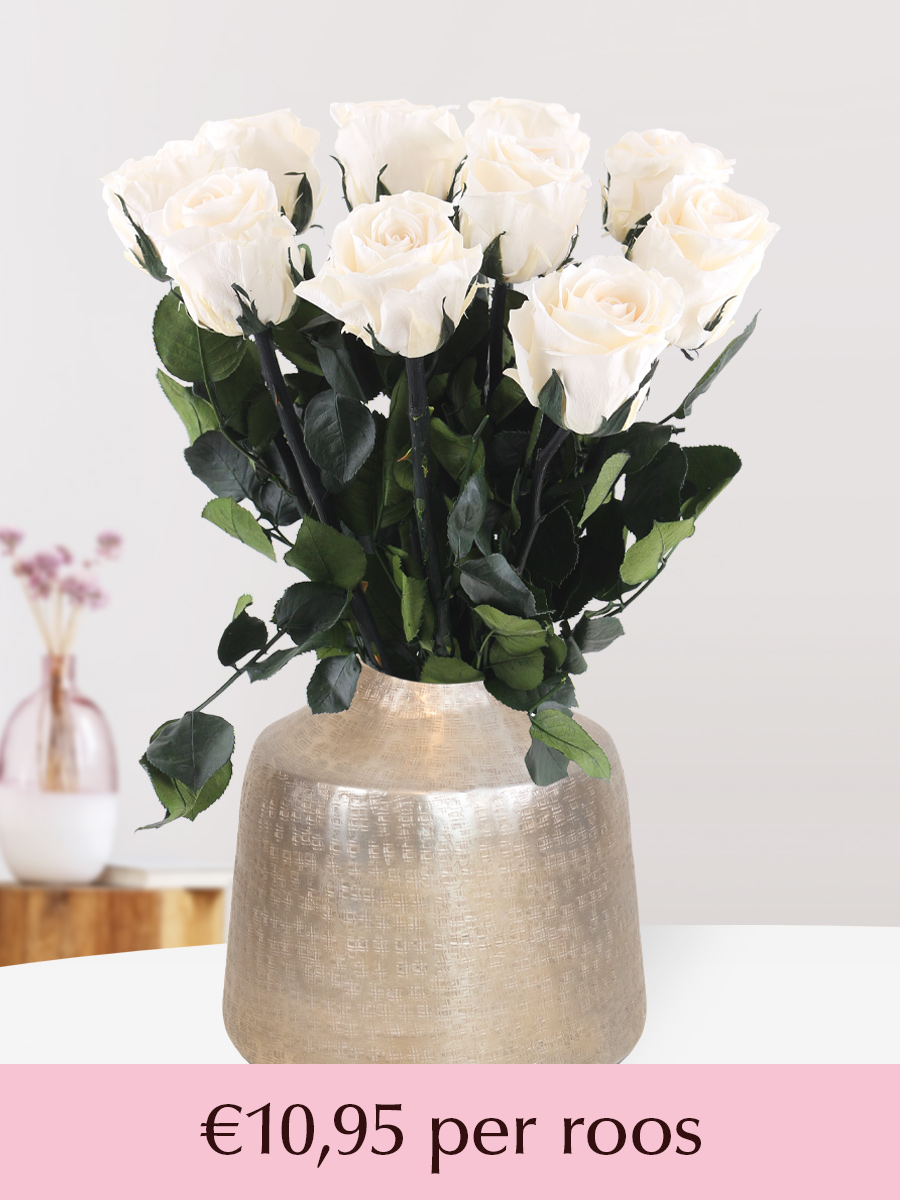 Crèmekleurige long life rozen - Kies je aantal van 5 t/m 20 1 Crèmekleurige long life rozen - Kies je aantal van 5 t/m 20