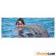 Foto op aluminium afdrukken - Wit (ChromaLuxe) - 80 x 30 cm
