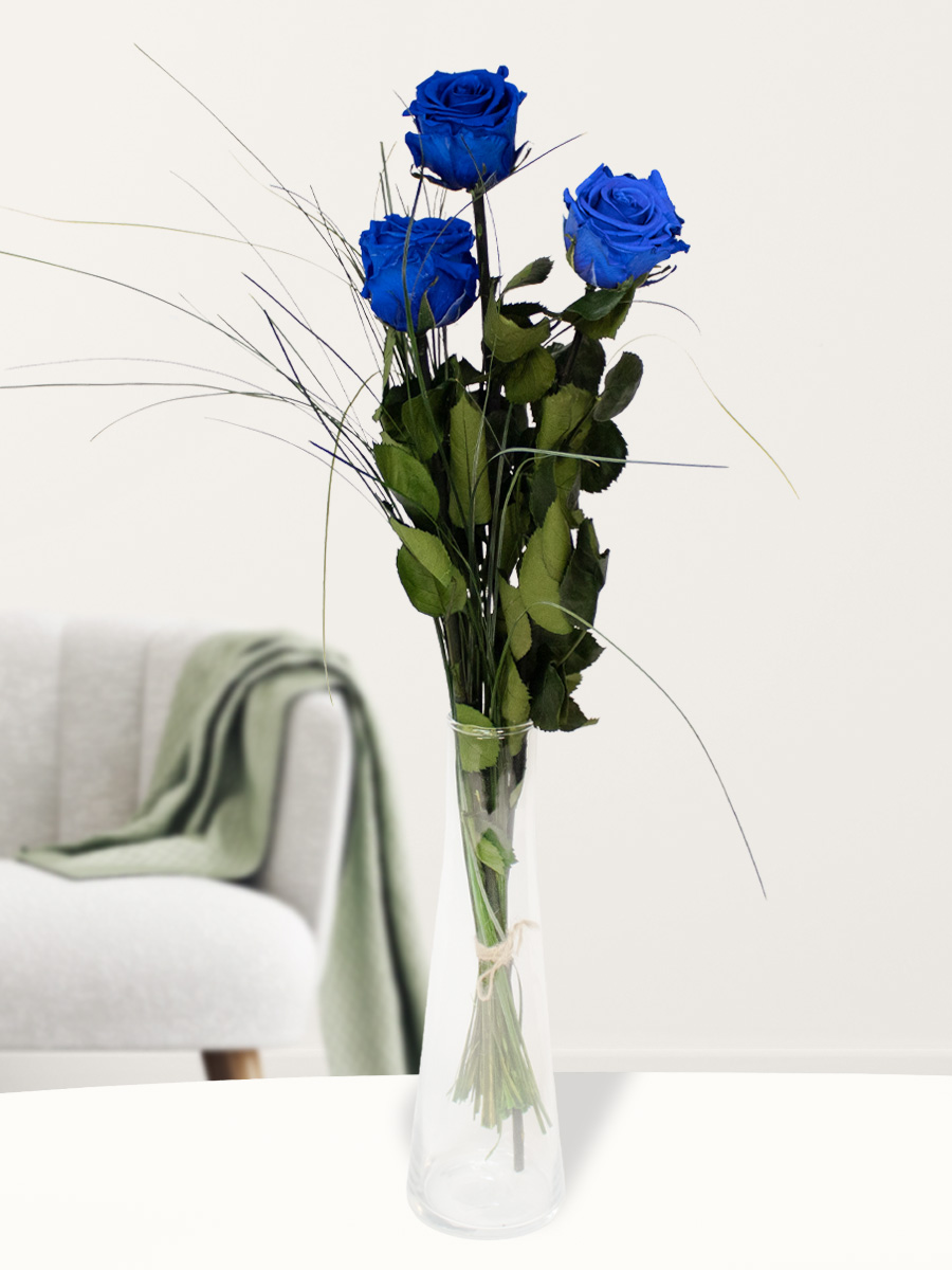 Drie blauwe long life rozen inclusief vaasje 1 Drie blauwe long life rozen inclusief vaasje