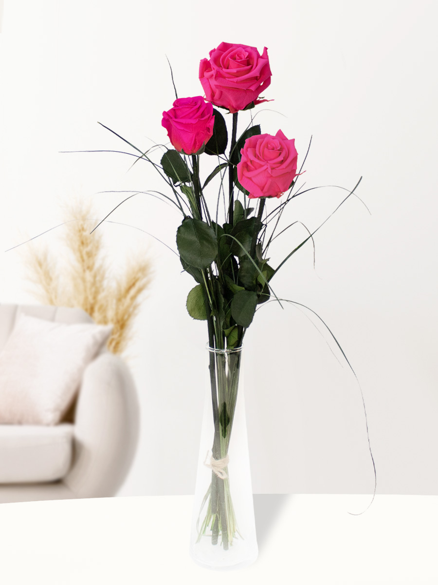 Drie roze long life rozen inclusief vaasje 1 Drie roze long life rozen inclusief vaasje