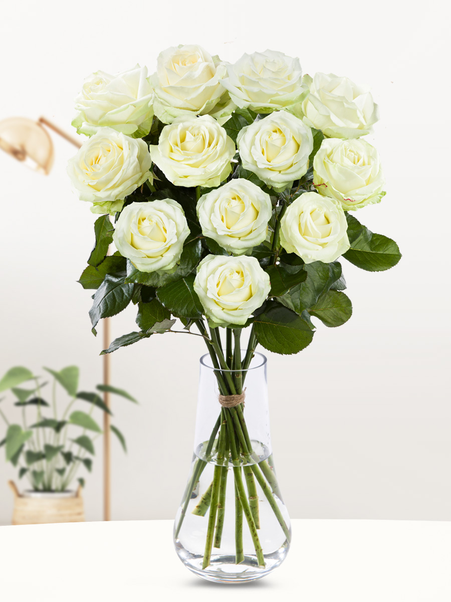 Een dozijn witte rozen - XL rozen - Avalanche 1 Een dozijn witte rozen - XL rozen - Avalanche