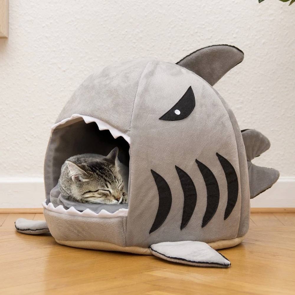 Haai kattenmand 1 Haai kattenmand