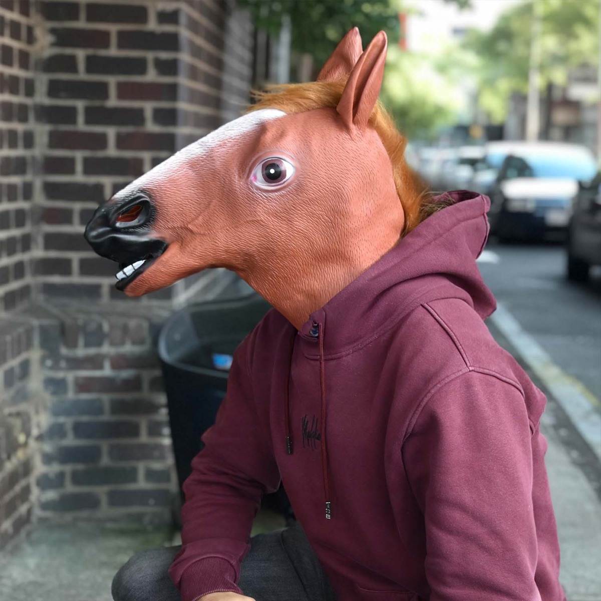 Paardenmasker - Latex - Realistische Manen - One Size - Bruin 1 Paardenmasker - Latex - Realistische Manen - One Size - Bruin