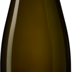 Setzer 'Golden' Grüner Veltliner