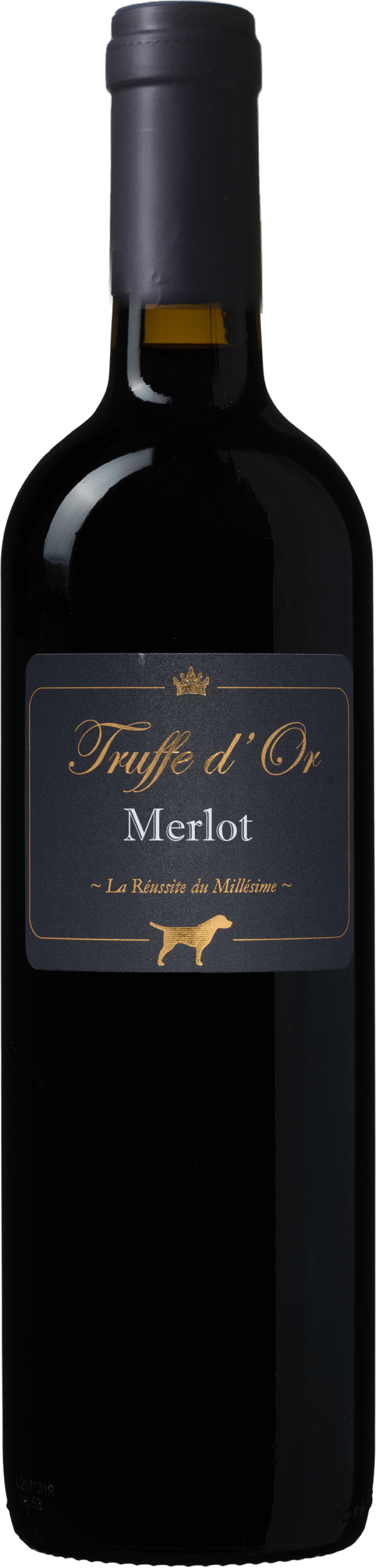 Truffe d'Or Merlot 1 Truffe d'Or Merlot