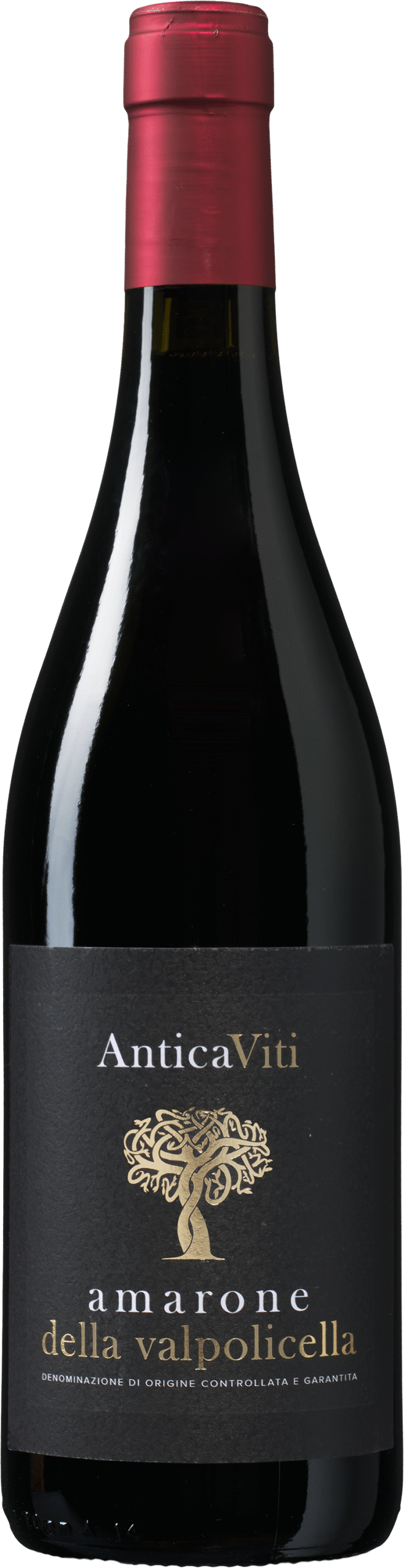 Antica Viti Amarone della Valpolicella 1 Antica Viti Amarone della Valpolicella