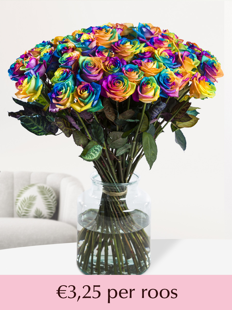 Regenboog rozen - XL rozen - 10 t/m 49 rozen 1 Regenboog rozen - XL rozen - 10 t/m 49 rozen