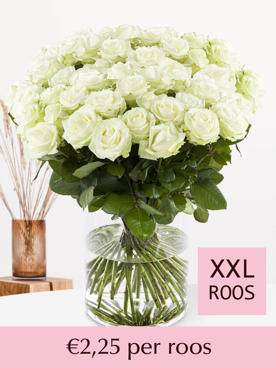 500 tot en met 1001 witte rozen - XXL rozen 1 500 tot en met 1001 witte rozen - XXL rozen