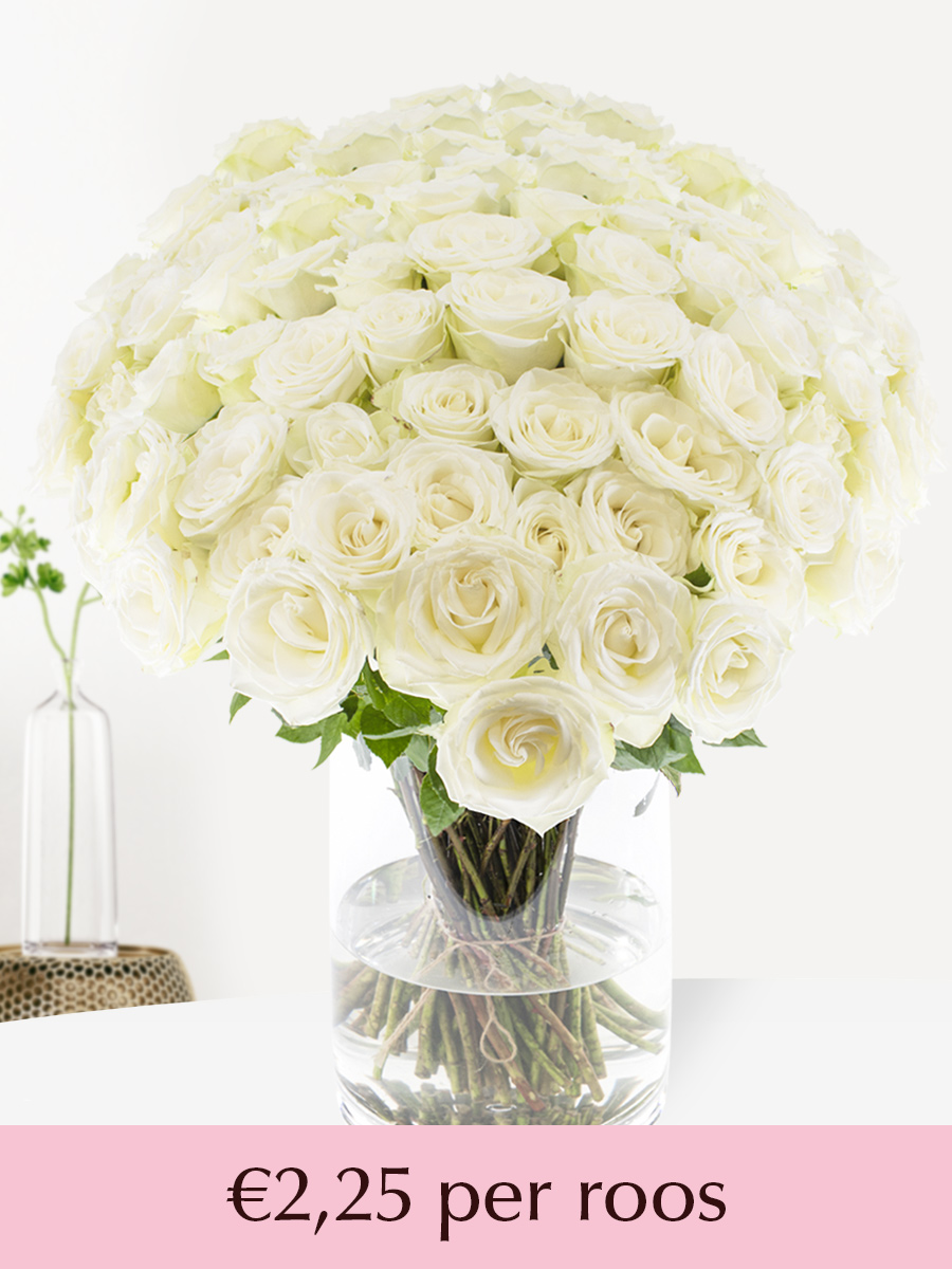 Witte rozen - XL rozen 60 cm - 10 t/m 99 rozen - Snowstorm 1 Witte rozen - XL rozen 60 cm - 10 t/m 99 rozen - Snowstorm