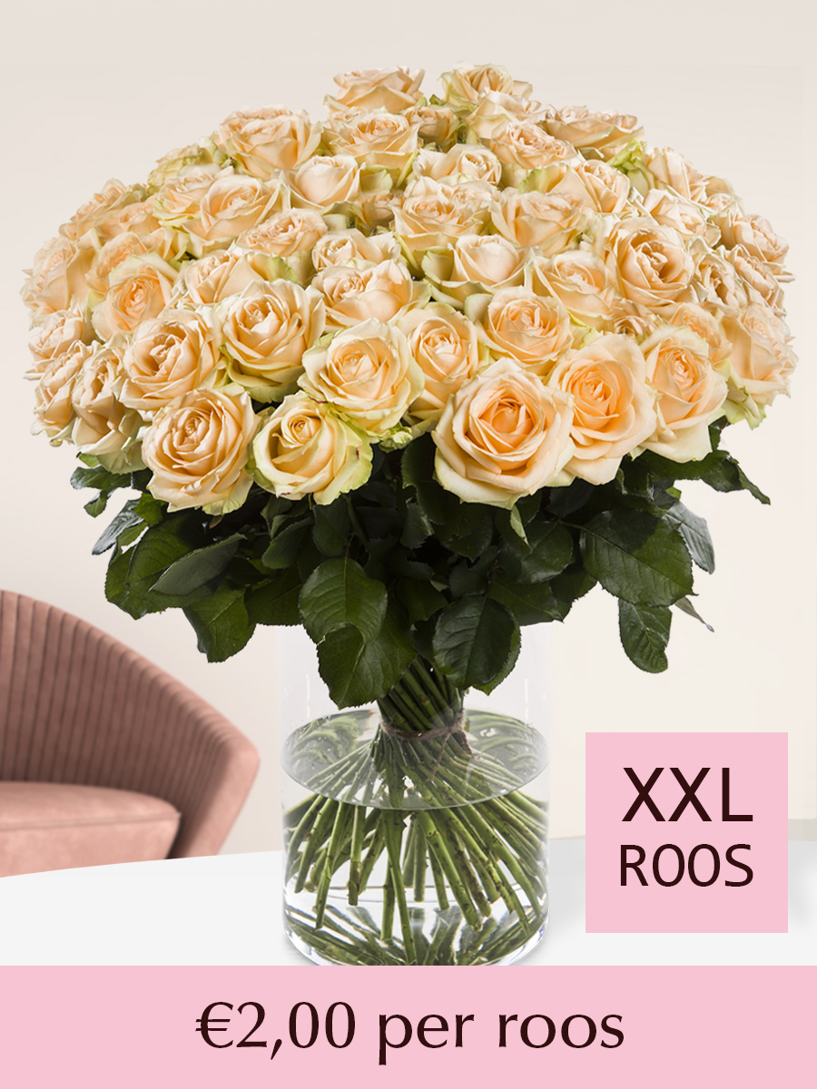 500 tot en met 1001 zalmkleurige XXL rozen 1 500 tot en met 1001 zalmkleurige XXL rozen