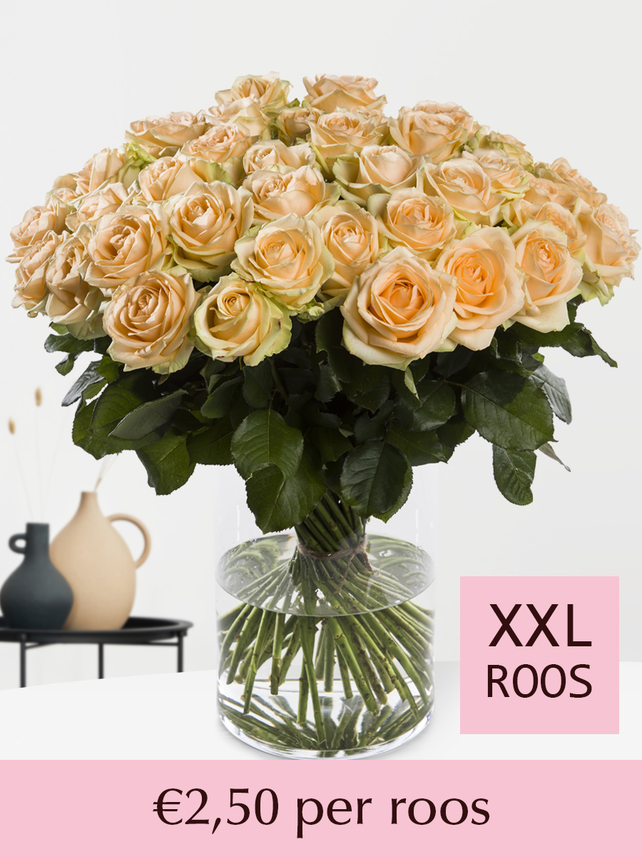 Zalmkleurige rozen - Kies je aantal - 10 t/m 99 rozen 1 Zalmkleurige rozen - Kies je aantal - 10 t/m 99 rozen