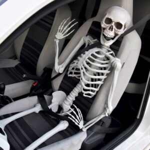 Human Size Skeleton 170cm - Halloween skelet