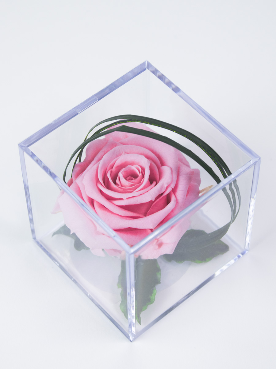 Roze eeuwige roos in acrylbox | Long life roos 1 Roze eeuwige roos in acrylbox | Long life roos