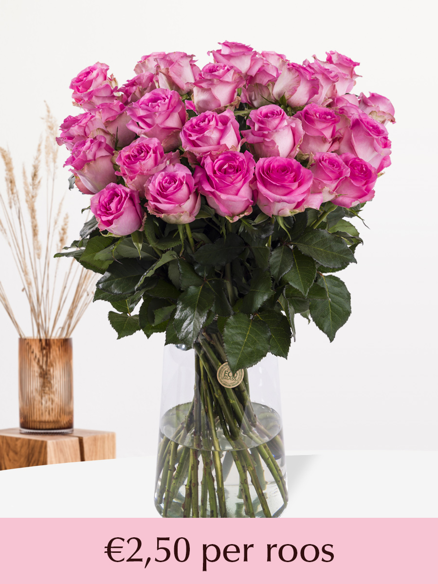 Roze rozen - 10 t/m 99 premium rozen - Revival 1 Roze rozen - 10 t/m 99 premium rozen - Revival