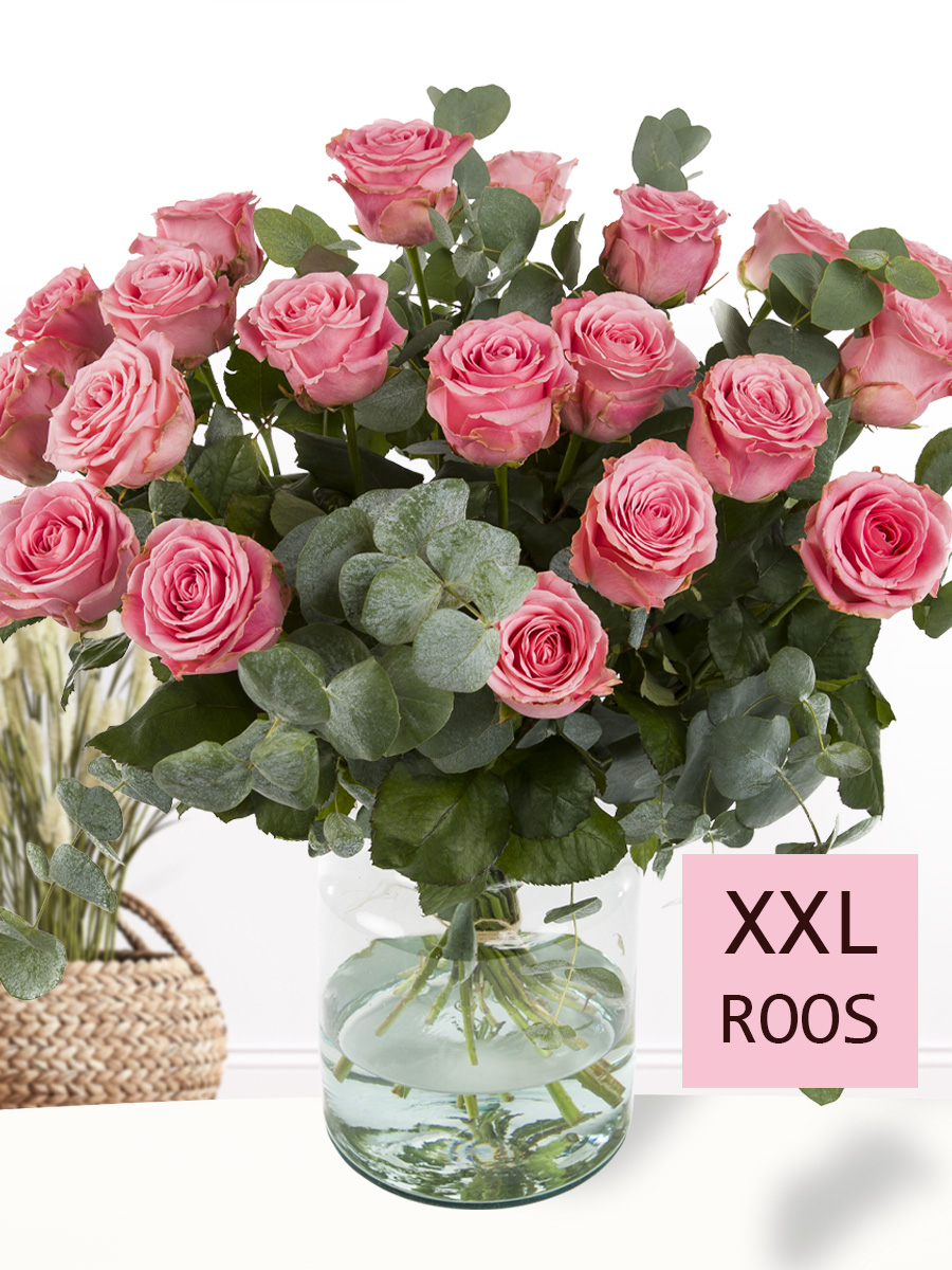 XL roze rozenboeket - Sophia Loren 1 XL roze rozenboeket - Sophia Loren