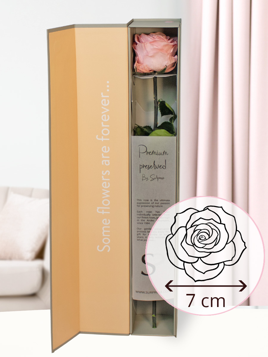 Zachtroze premium long life roos in geschenkdoos | 50 cm 1 Zachtroze premium long life roos in geschenkdoos | 50 cm